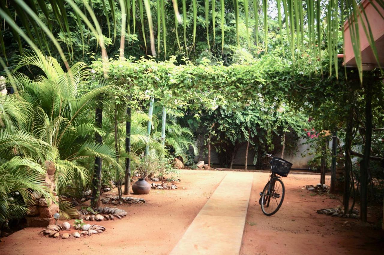 Allens Home Stay Jaffna Ngoại thất bức ảnh